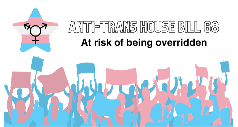 Infographic displaying support for transgender rights. Made with Canva.